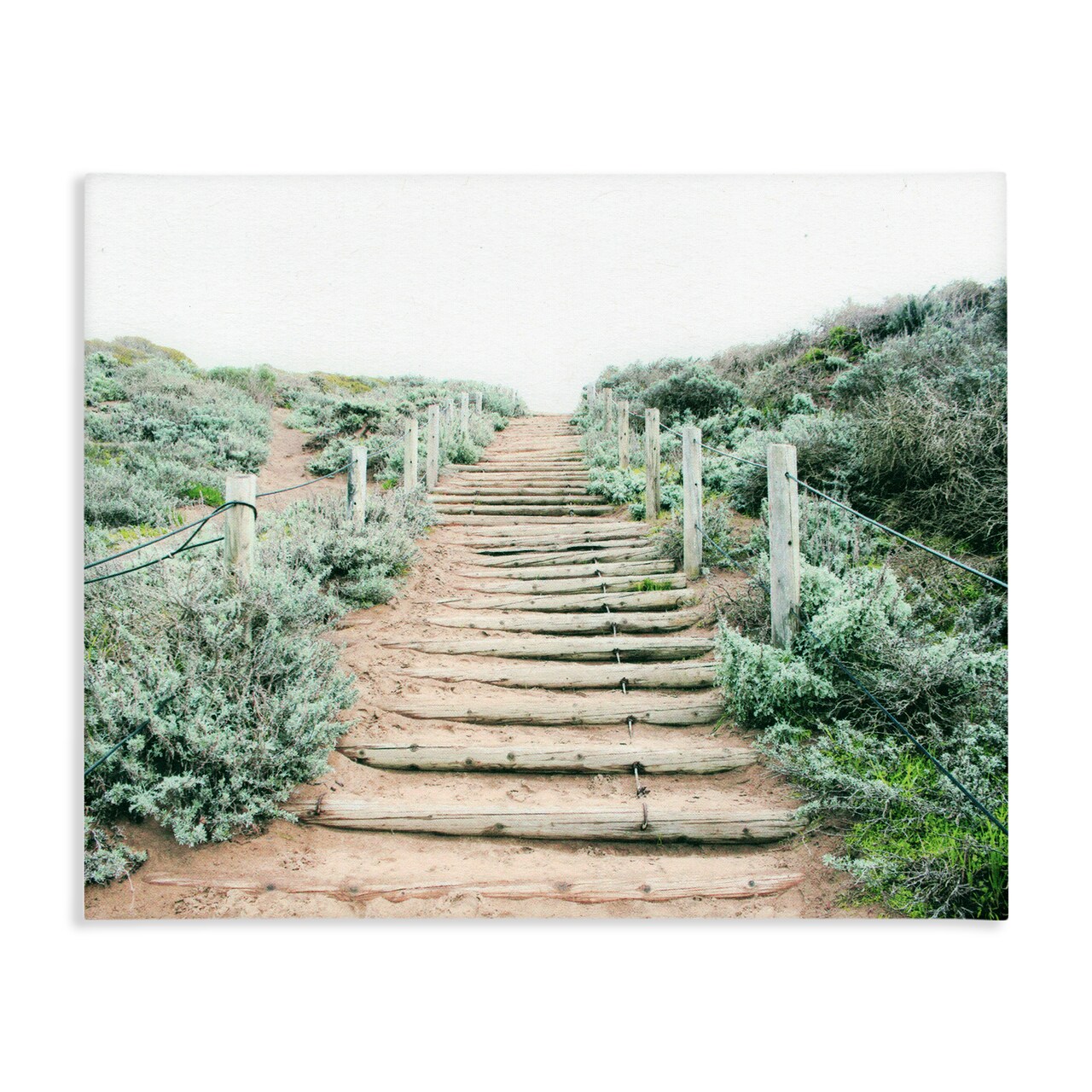 Stupell Industries Stairway To Heaven Path Canvas, design by Leah Noel Art